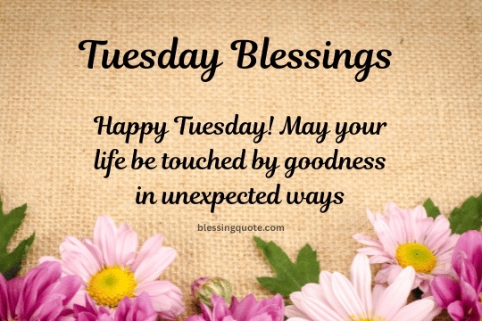 tuesday blessings quotes(1)